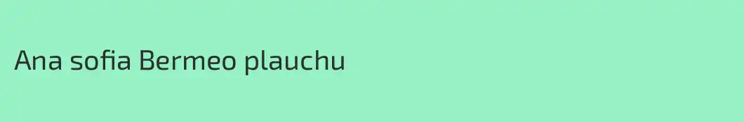 Ana sofia Bermeo plauchu